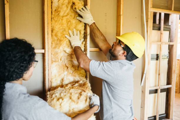 Best Attic Insulation Installation  in Carleton, MI