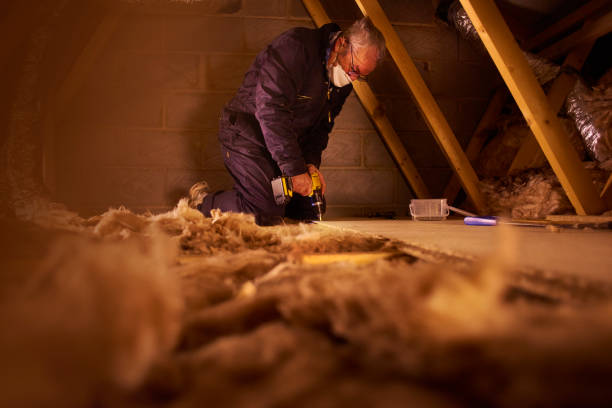 Best Best Insulation Companies  in Carleton, MI